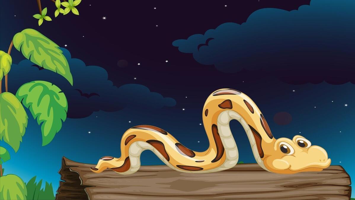 杀人最多的八种动物，恐怖到每年致死72万，“杀戮”机器颠覆三观