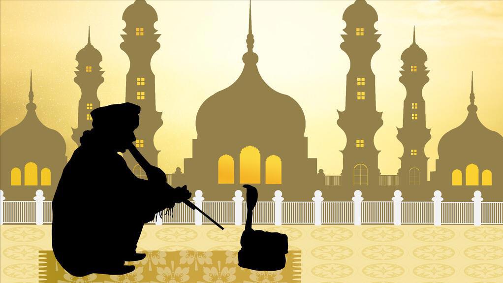 杀人最多的八种动物，恐怖到每年致死72万，“杀戮”机器颠覆三观