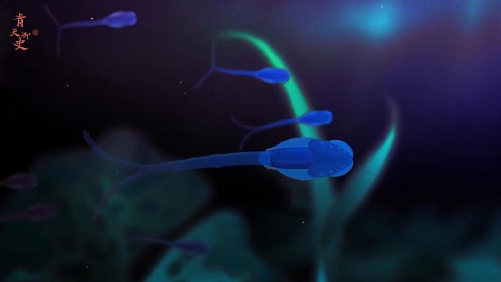 杀人最多的八种动物，恐怖到每年致死72万，“杀戮”机器颠覆三观