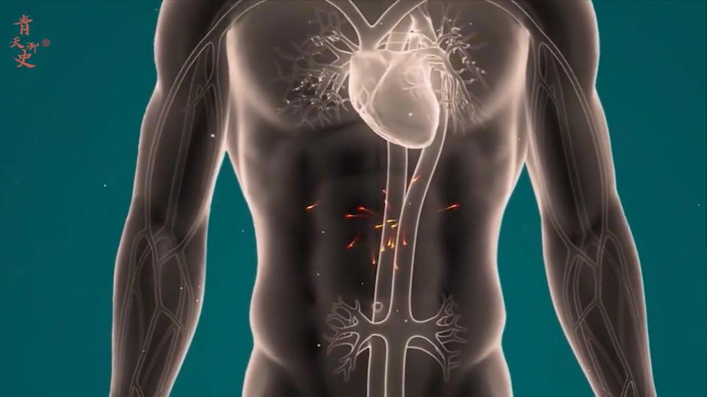 杀人最多的八种动物，恐怖到每年致死72万，“杀戮”机器颠覆三观