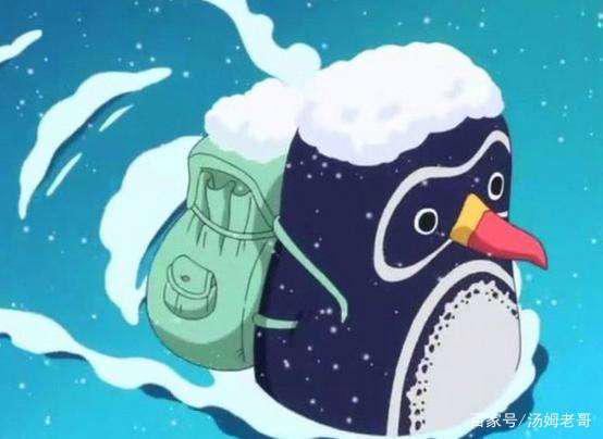 萌即正义！海贼王的5大萌宠，乔巴只能排第2，第1当之无愧！