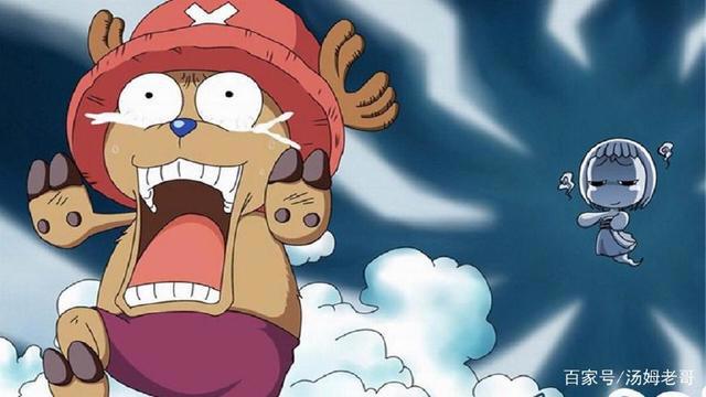 萌即正义！海贼王的5大萌宠，乔巴只能排第2，第1当之无愧！