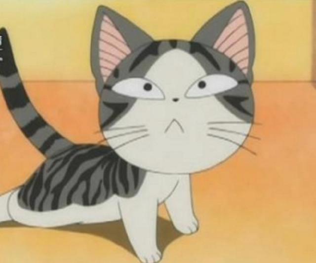 动漫中的萌宠，选一个做你的宠物，我会选大白，你呢？