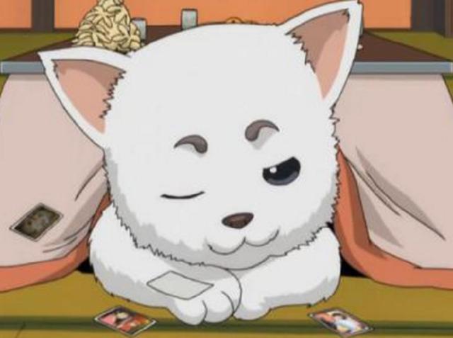 动漫中的萌宠，选一个做你的宠物，我会选大白，你呢？