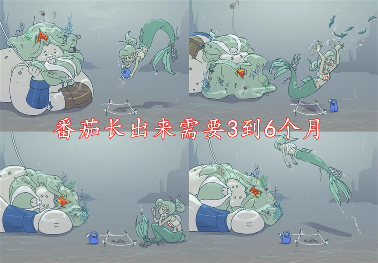 小美人鱼在海里种番茄，还“真”种出来了，结果还是一个中二少女