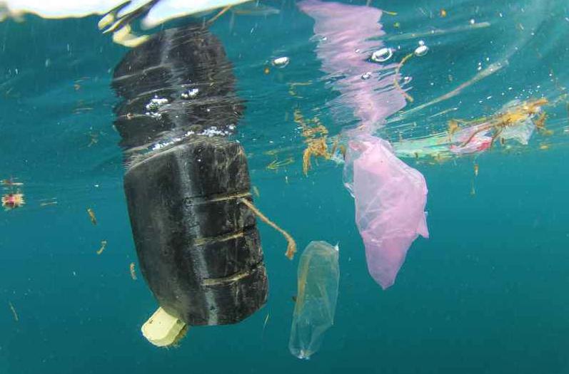 小美人鱼的收藏全是垃圾，这部漫画看了令人反思！