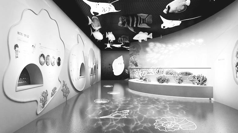 来成都，感受趣味展览新活力