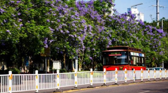 周末看展｜致敬中国动漫诞生百年，一支铅笔书写动漫世界