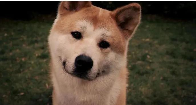 这几部电影很适合一二三年级小学生观看，每一部口碑都极好