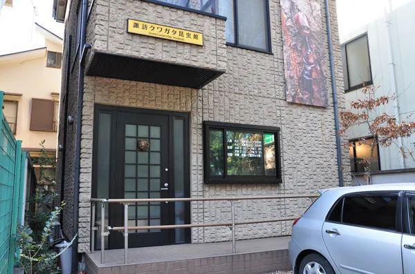 为什么日本人如此沉迷于捕虫？