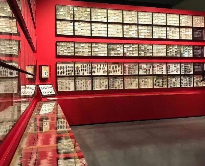 为什么日本人如此沉迷于捕虫？