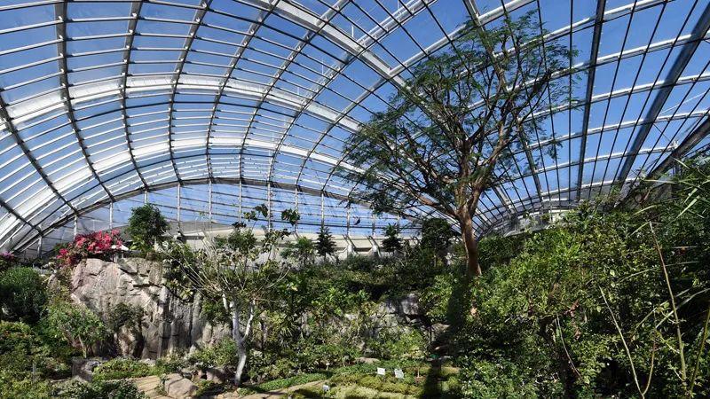 为什么日本人如此沉迷于捕虫？