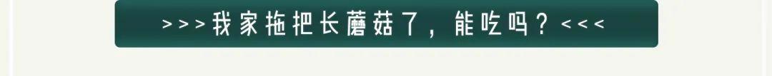 为什么日本人如此沉迷于捕虫？