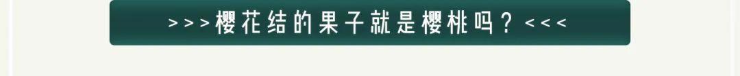 为什么日本人如此沉迷于捕虫？