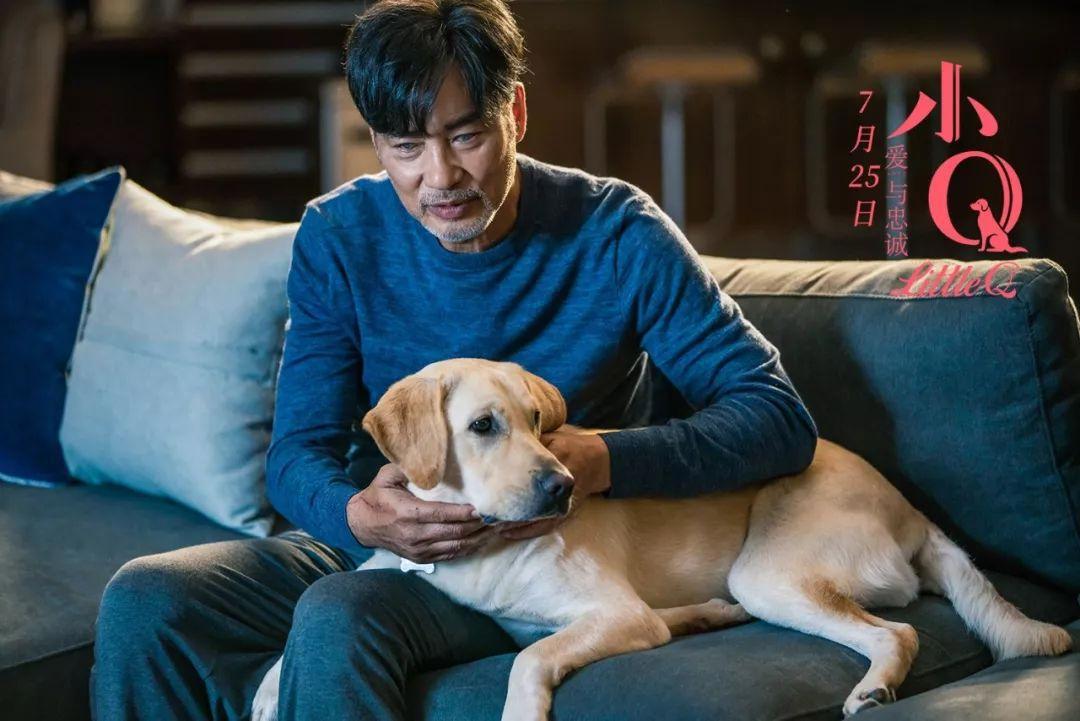 《银河》预售破7000万，《哪吒》口碑炸裂，点映透露暑期“爆款”