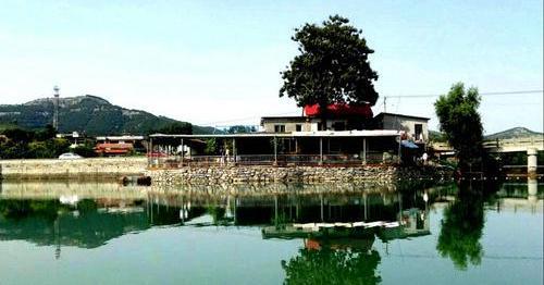 山东英才学院资讯攻略