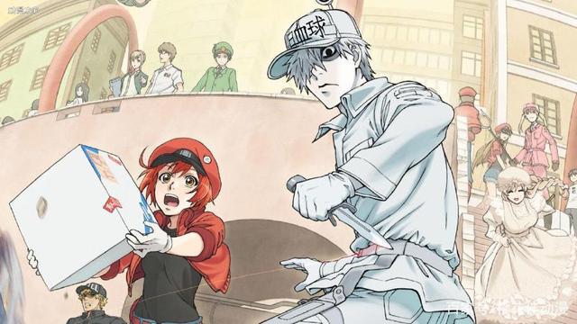 海外华人视频网站动画人气排名，只有这部国漫进了前十