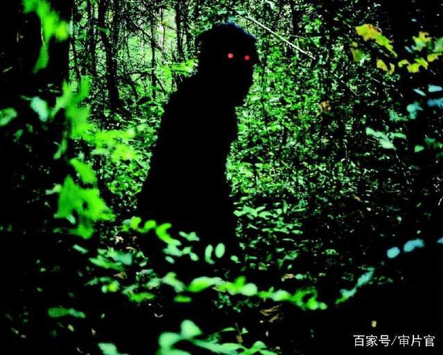 有一种黑马叫泰国片，有一款比《天才枪手》还爆