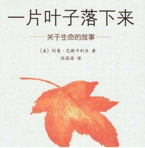 绘本推荐：爱生命和死亡