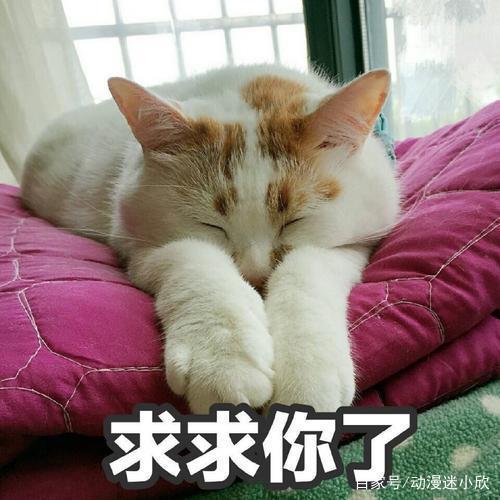 盘点迪士尼公主大电影扮演者，睡美人绝美动人，她根本就是本人吧