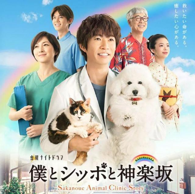 片寄凉太网红剧预定，去年又苏又羞耻的“哥哥”终于回来了