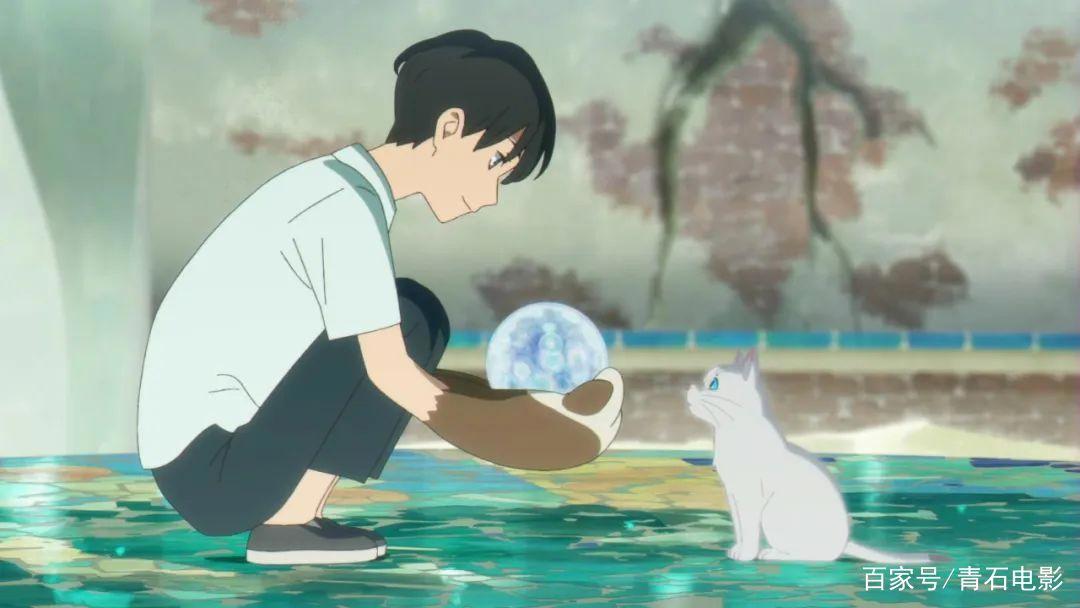 《未闻花名》编剧新作，讲少女变成猫的故事，设定像《千与千寻》