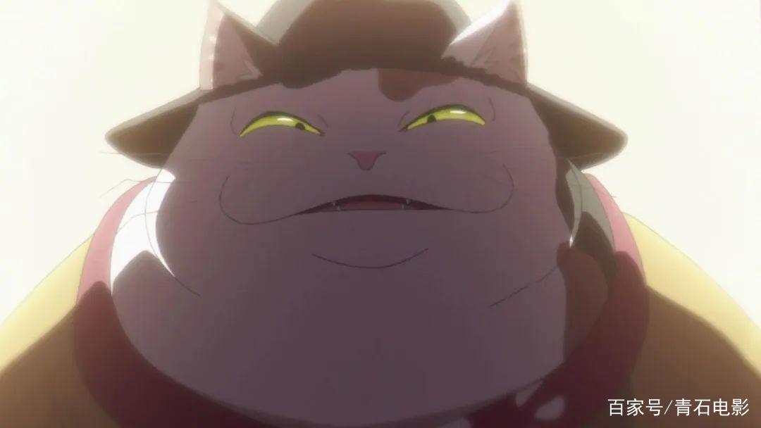 《未闻花名》编剧新作，讲少女变成猫的故事，设定像《千与千寻》