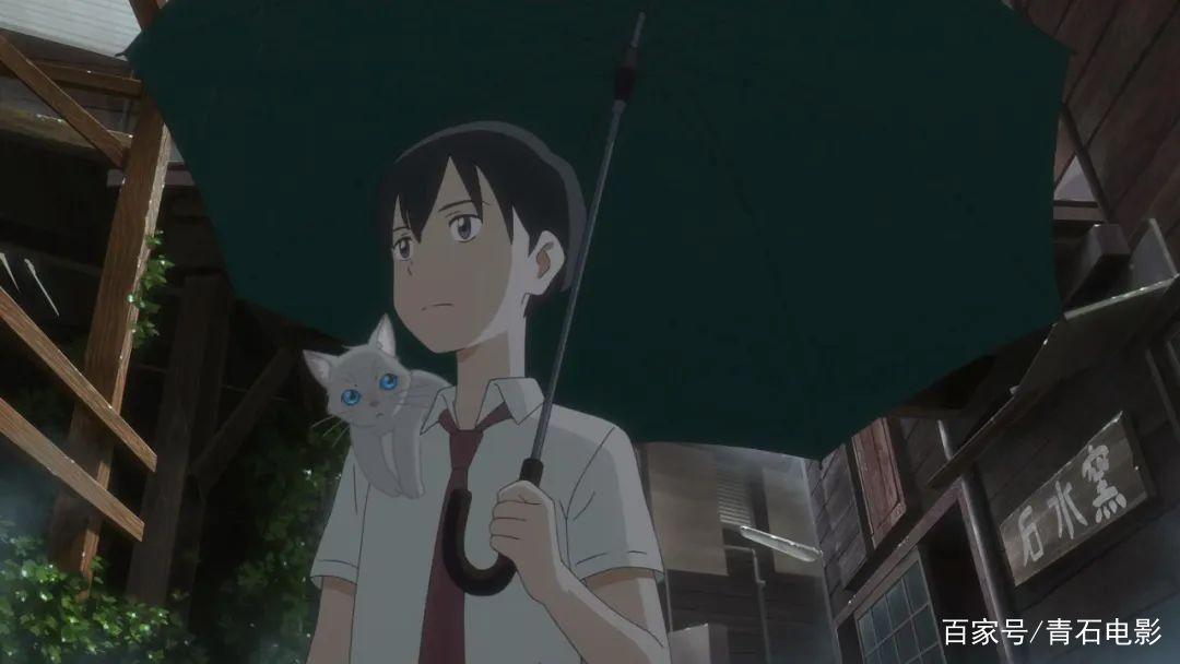 《未闻花名》编剧新作，讲少女变成猫的故事，设定像《千与千寻》