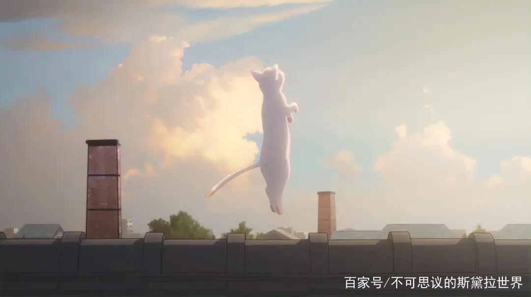 为何短板多多的冈妈，依然可以兴风作浪20年