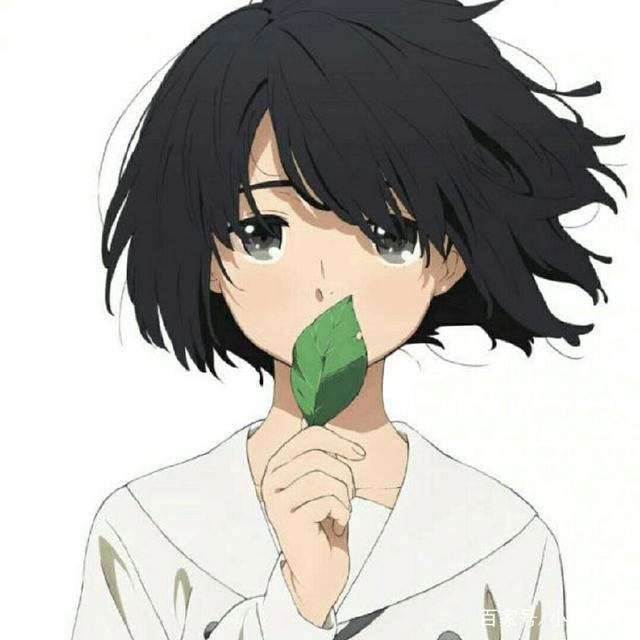 《心灵想要大声呼喊》，继《未闻花名》后一次来自灵魂的挣扎！