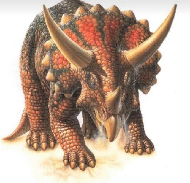 我的启蒙动漫，也是我第一部看的动漫，就是《恐龙宝贝》了！