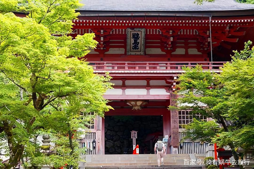 为何中国人喜欢去日本旅游？年赴日游客超800万，这6个原因很真实