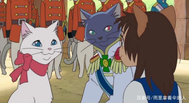 猫的报恩：不管什么情况，也不要丢失自我