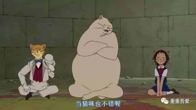 《猫的报恩》：我喜欢你，可是我却不想因为喜欢你而变成一只猫