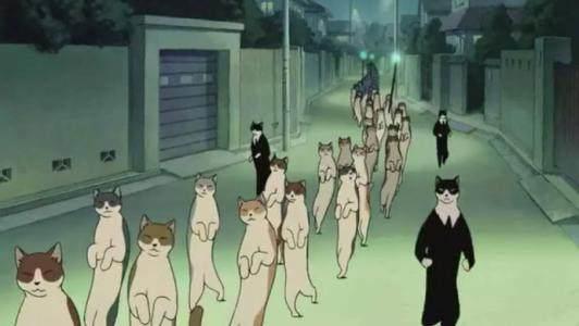 喵星人已经占领日本小岛，成立猫的王国，现实版猫的报恩即将来临