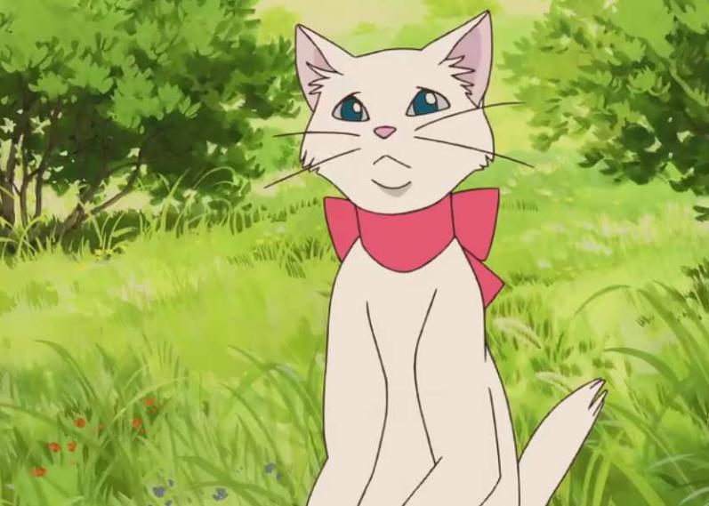 猫的报恩：我们要学会抵制惰性心理，才能够让生活按部就班