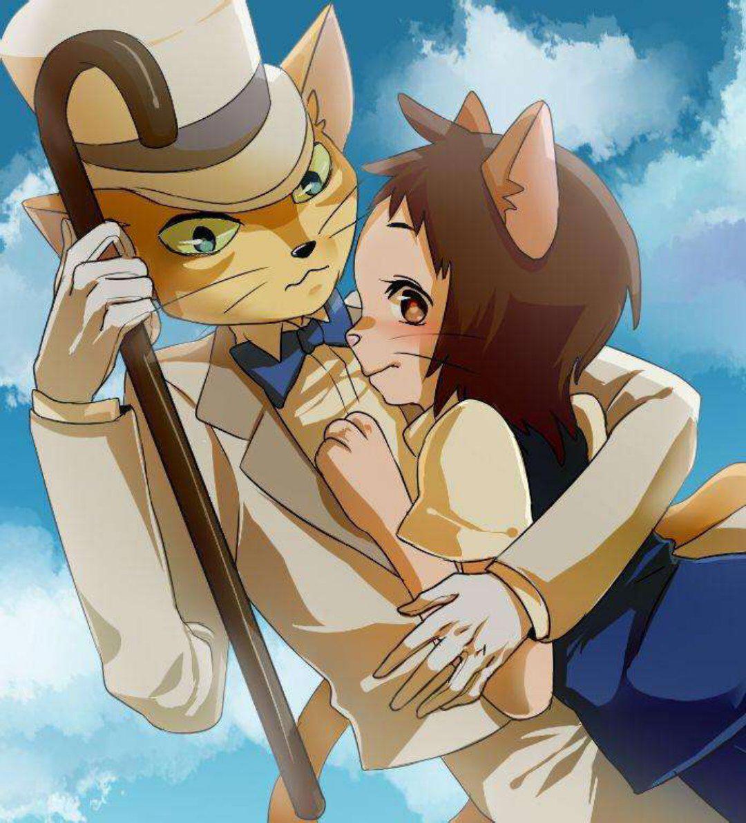 《猫的报恩》：生命可以随心所欲，但是不能随波逐流