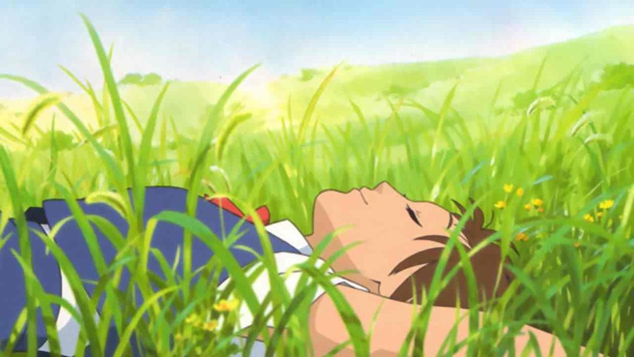 猫的报恩：生命可以随心所欲，但不能随波逐流