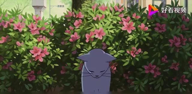 饭前看电影：几分钟看完日本喜剧动画电影《猫的报恩》