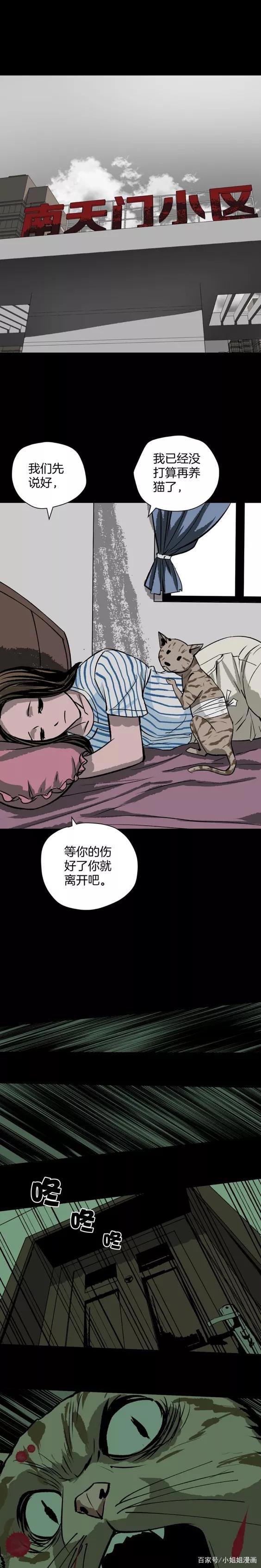 《人性漫画》猫的报恩