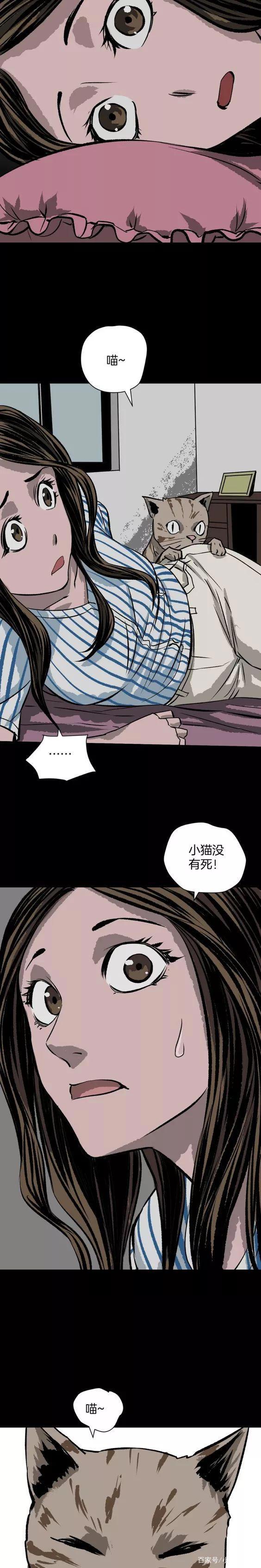 《人性漫画》猫的报恩