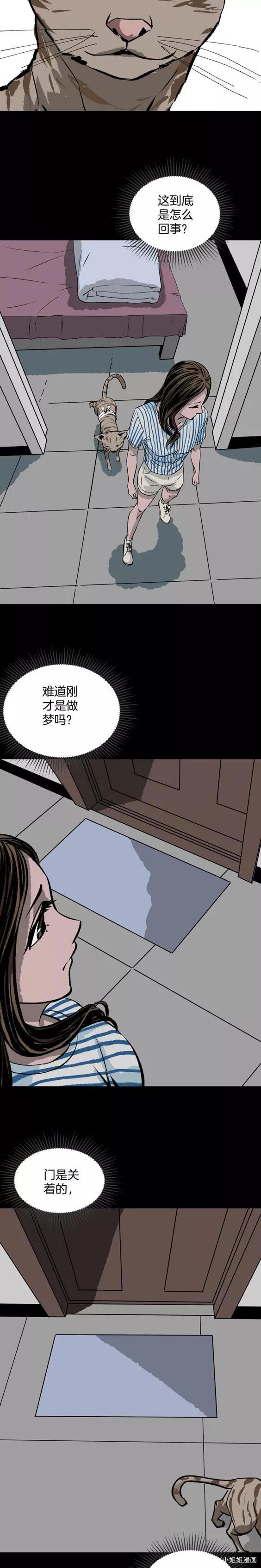《人性漫画》猫的报恩