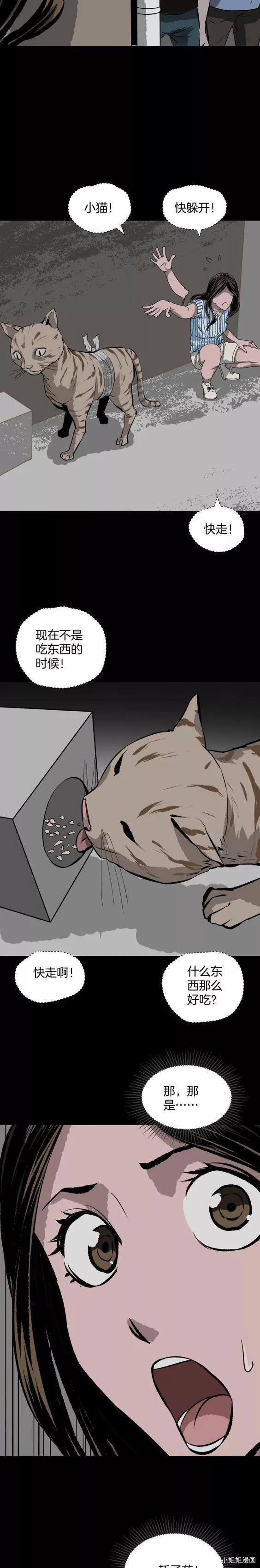 《人性漫画》猫的报恩