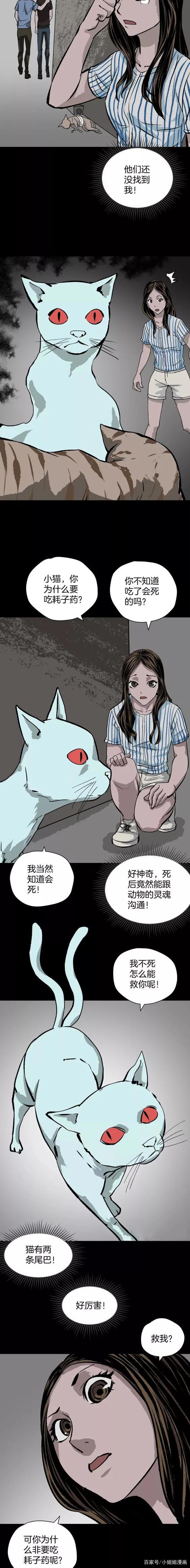 《人性漫画》猫的报恩