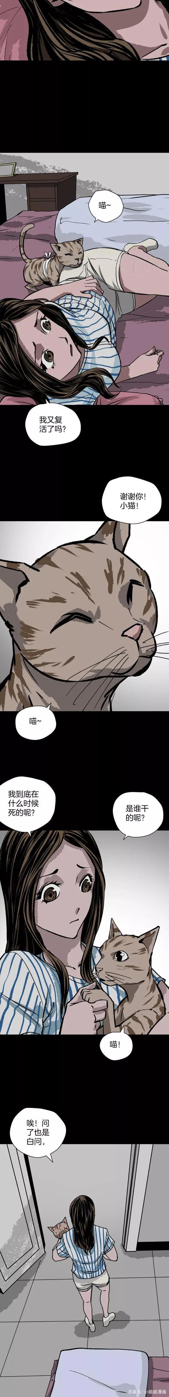 《人性漫画》猫的报恩