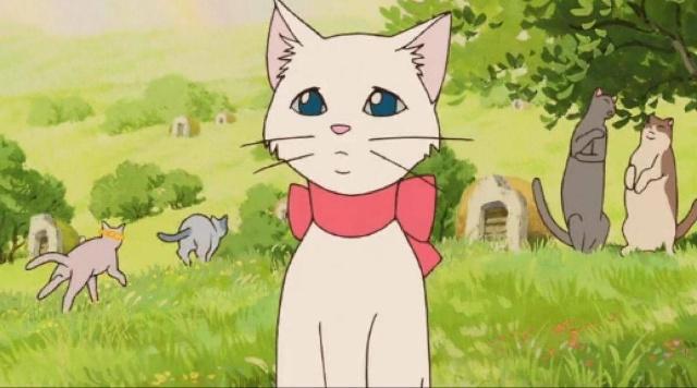 猫的报恩，简单的故事可爱的人物，带给你满满的感动！