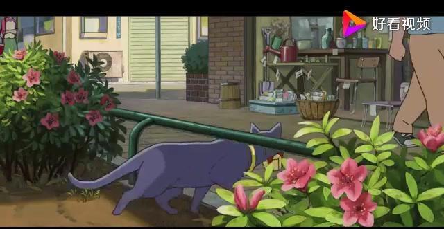 3分钟看完日本经典动漫电影《猫的报恩》