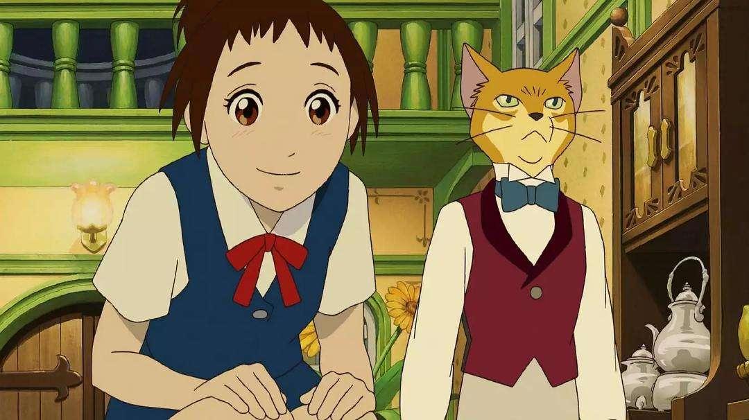 猫的报恩：生活可以随心所欲，但不能活成别人的样子