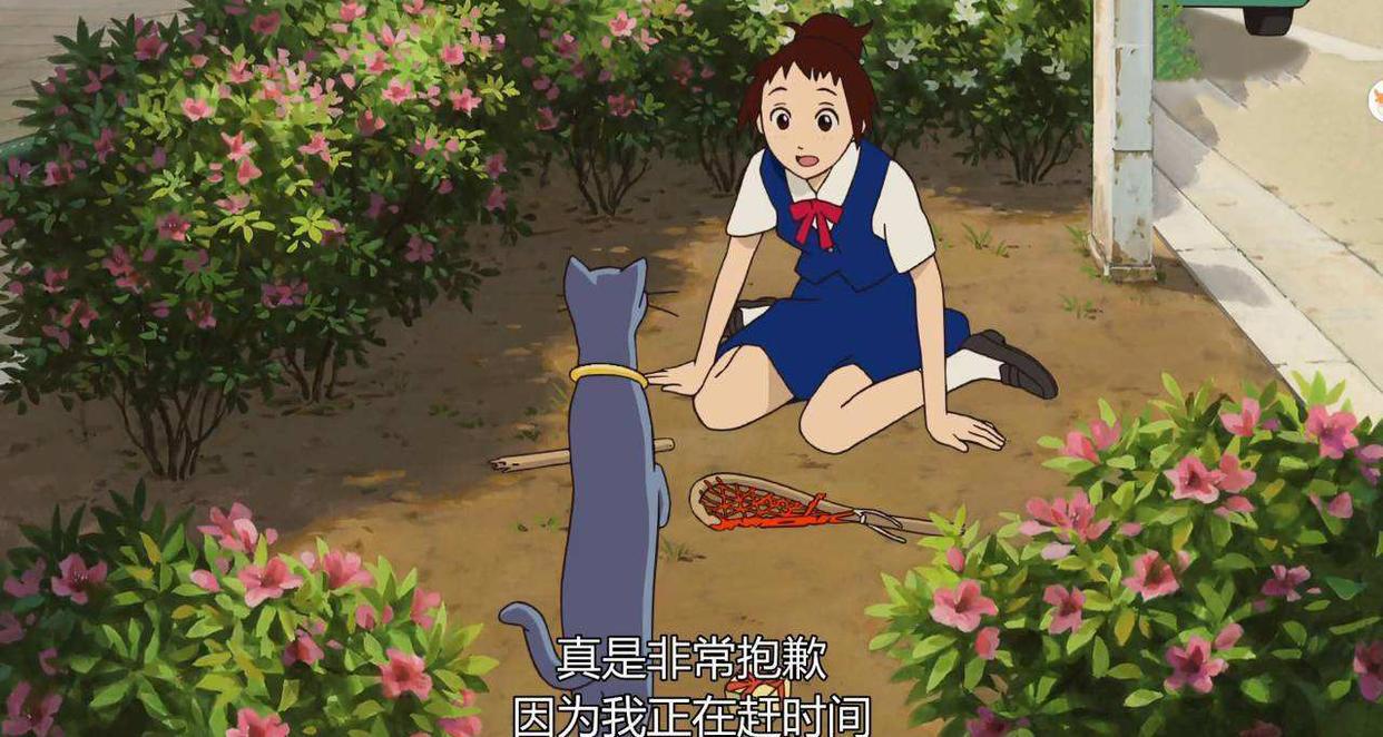 猫的报恩：生活可以随心所欲，但不能活成别人的样子