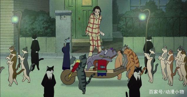 猫的报恩：人生总要经历一场冒险，也许变身为猫，但终会找回自我